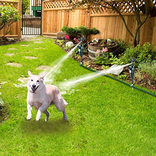 Best Motion Activated Sprinklers Natural Pest Deterrents Gardenia