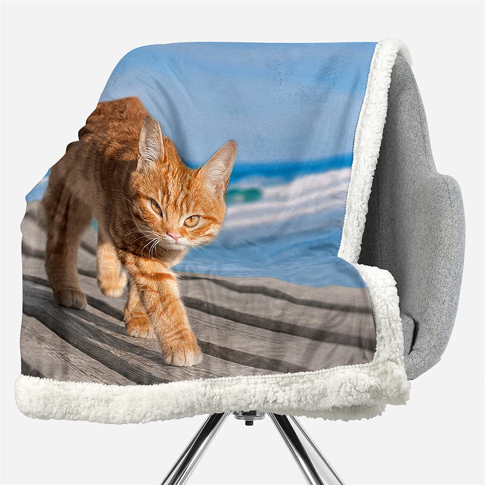 Highdi Coperta di Morbida Pile Stampa Gattino Divertente 3D Microfibra