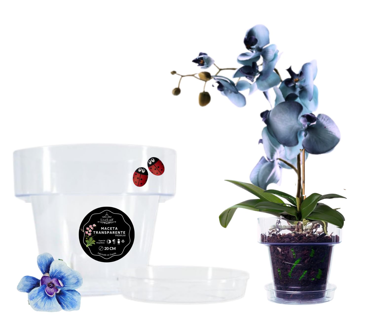 LiveLaif®- ∅ 15 cm Maceta Orquidea Transparente + Plato Maceta a Juego | Macetas Plastico | Macetas para Orquídeas Transparente | Macetero Orquidea | Elegir Tamaño y Unidades (1, 15 cm)