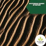 Nature Kingdom