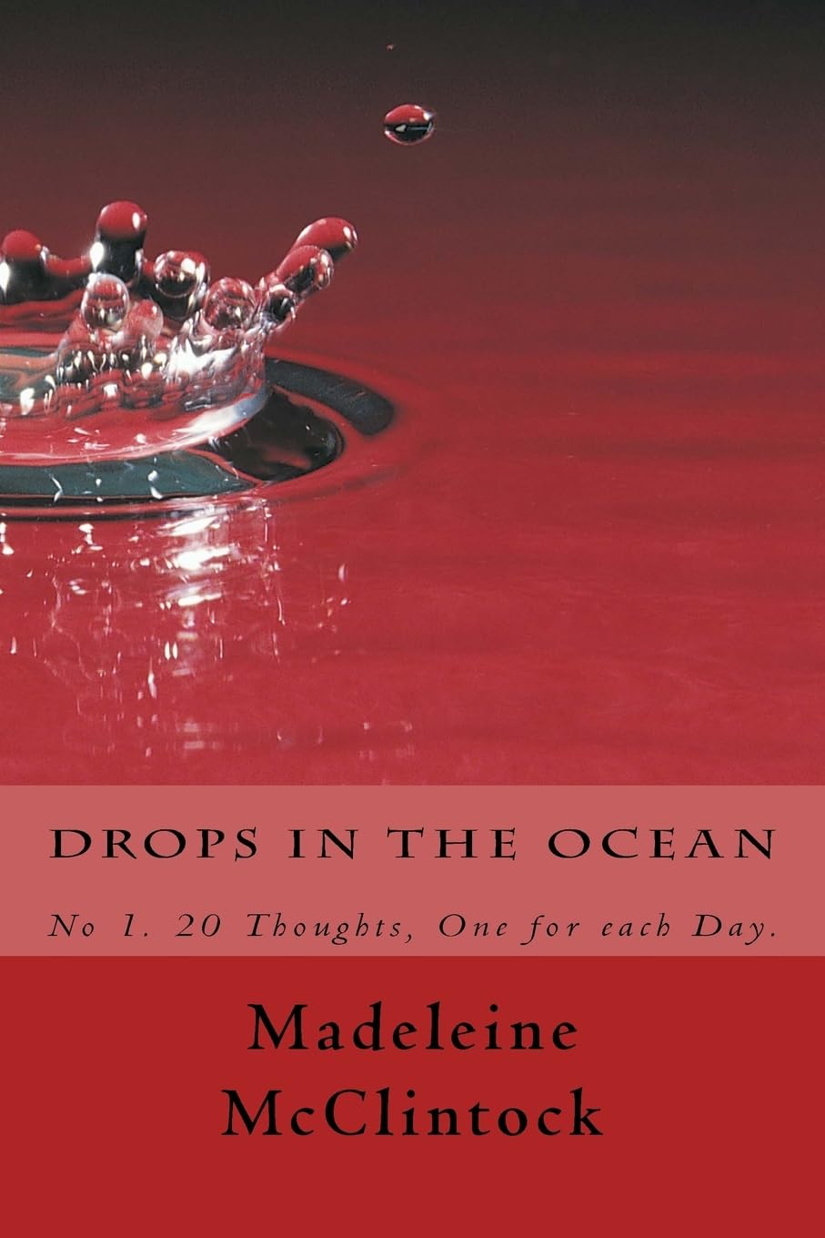 Drops in the Ocean: Volume 1 (20 Thoughts, One for each day.)