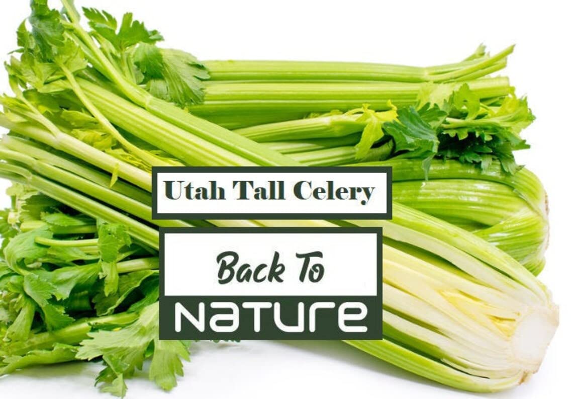 Utah Tall Celery - Seeds - Organic - Non Gmo-X117NK-100Seeds (B0BV86F1CS) Amazon Price History, Amazon Price Tracker