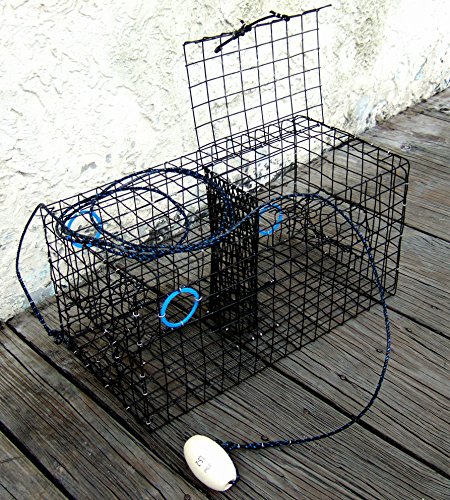 Joy Fish Maryland Blue Crab Pot Trap, PVC Coated Wire mesh, Heavy Duty
