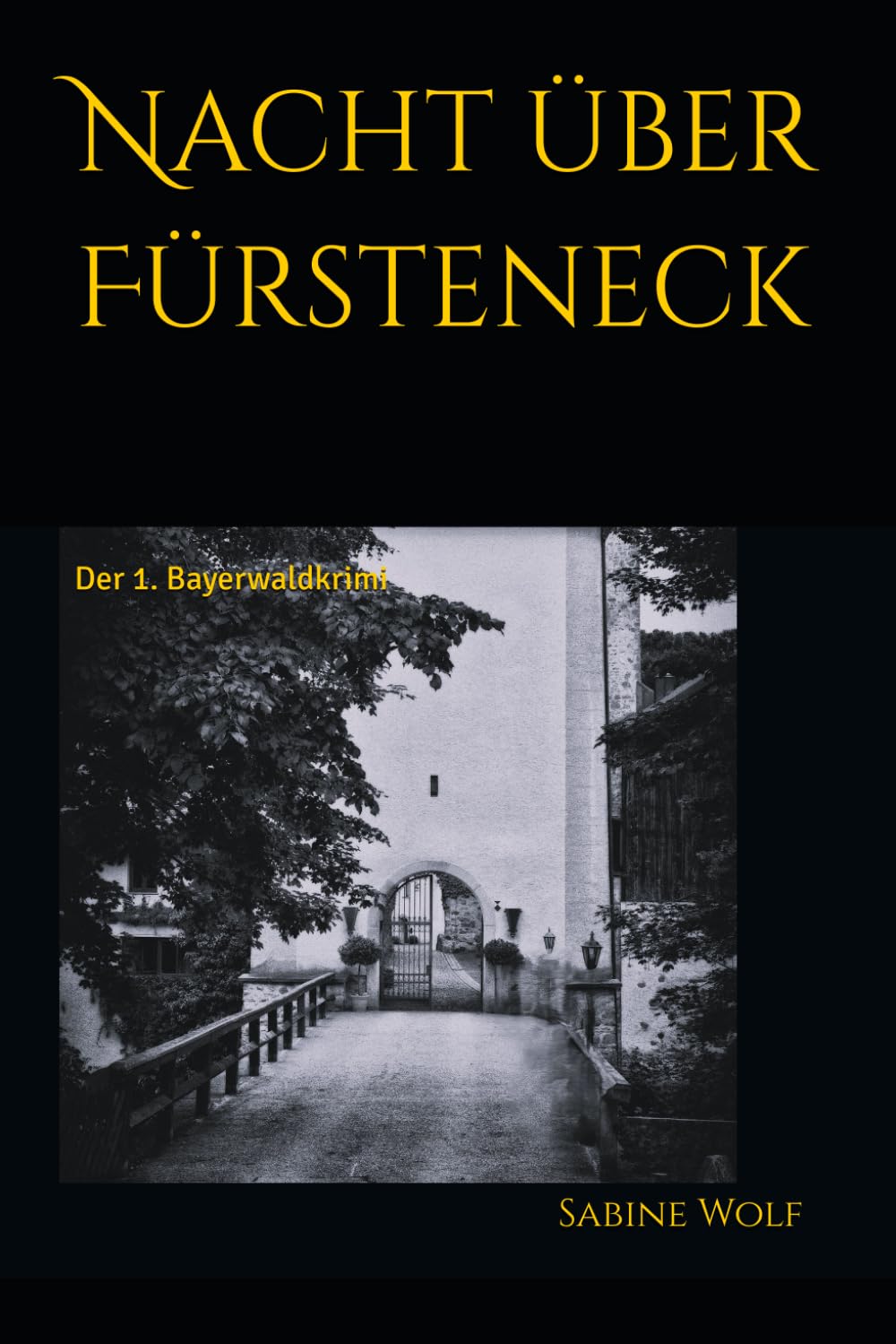 Nacht über Fürsteneck: Der 1. Bayerwaldkrimi