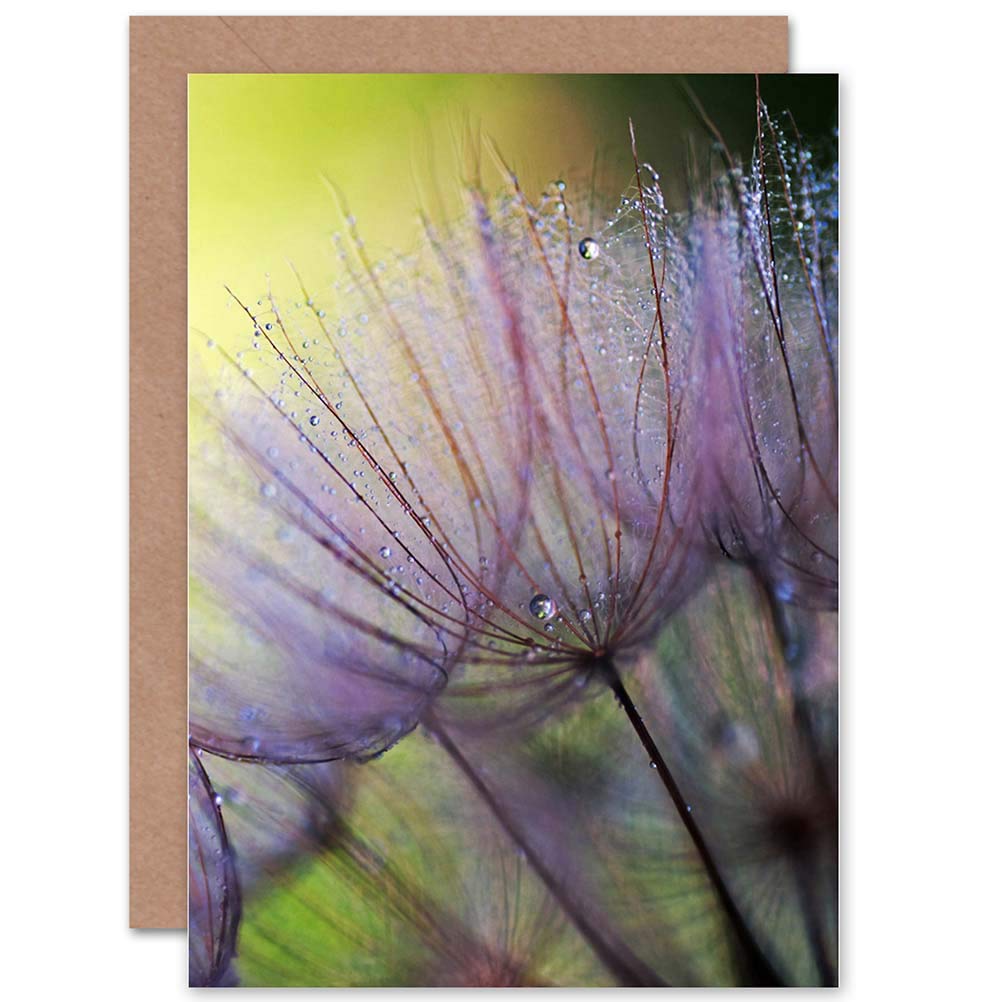 Wee Blue Coo CLOSE UP MACRO SEEDS FLOWER PHOTOGRAPHY DEW PURPLE BLANK BIRTHDAY CARD