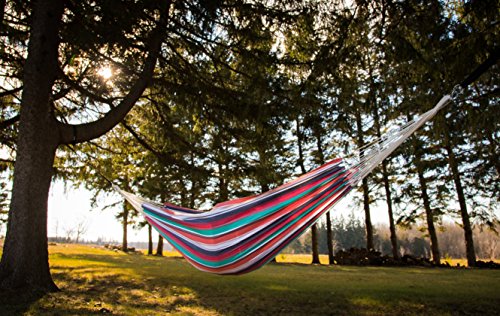 Vivere BRAZ230 Amaca Brasiliana, Cotone, 240 x 160...