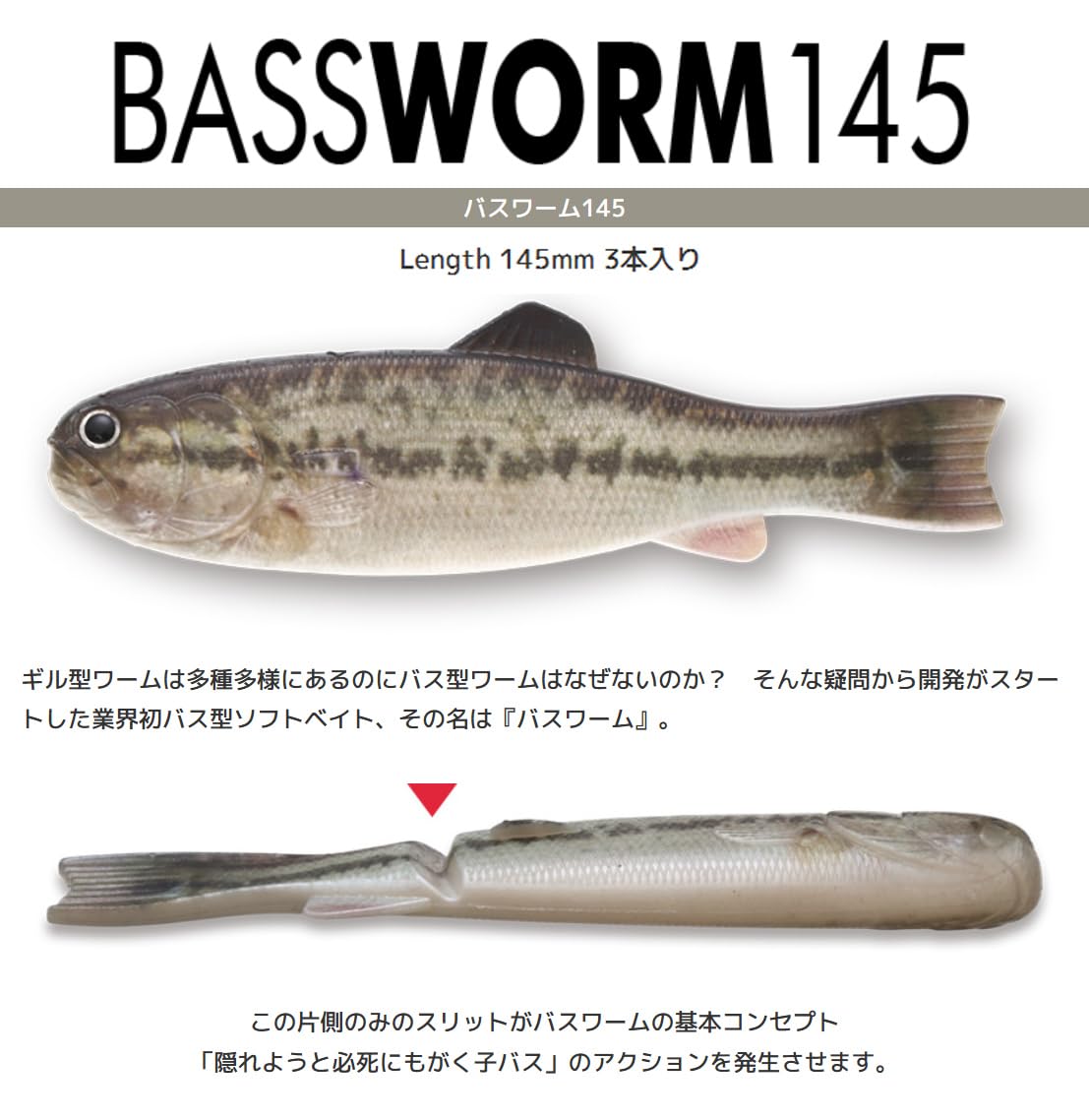 IMAKATSU BASSWORM 145mm 3個セット IMAKATSU BASSWORM 145mm 3個セット IMAKATSU BASSWORM 145mm 3個