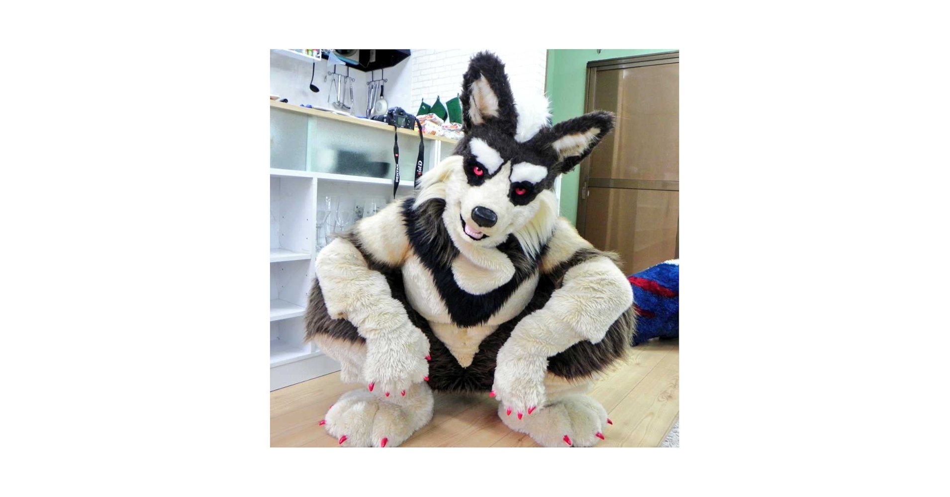 Amazon.co.jp: ケモノ 着ぐるみ fursuit オオカミ フルスーツ