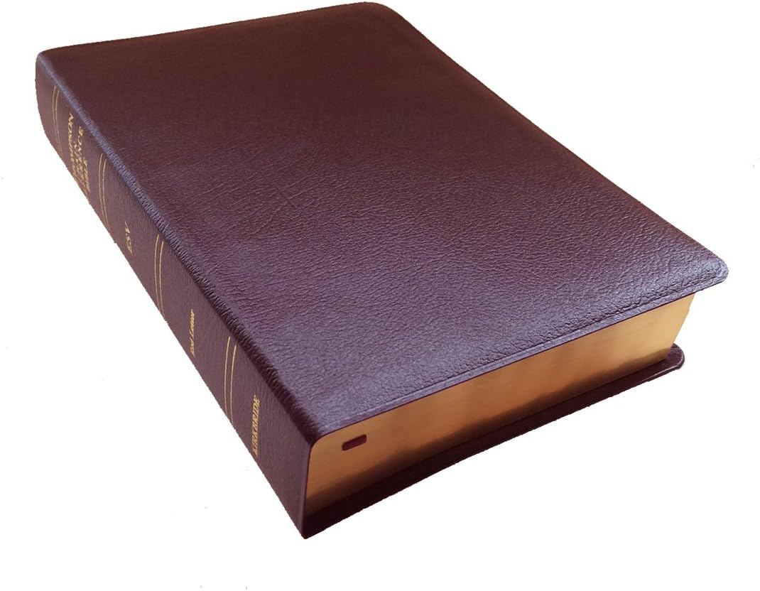 Thompson Chain-Reference Bible Leather Bound – 1 April 2017