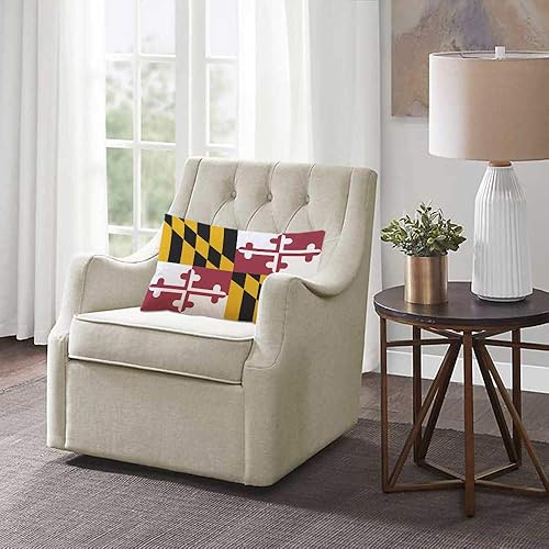 Miniatura 9 de EKOBLA Funda de almohada roja, gris, negra, rayas abstractas, patrón geométrico, rayas, acrílico, decoración atrevida, funda de almohada lumbar para