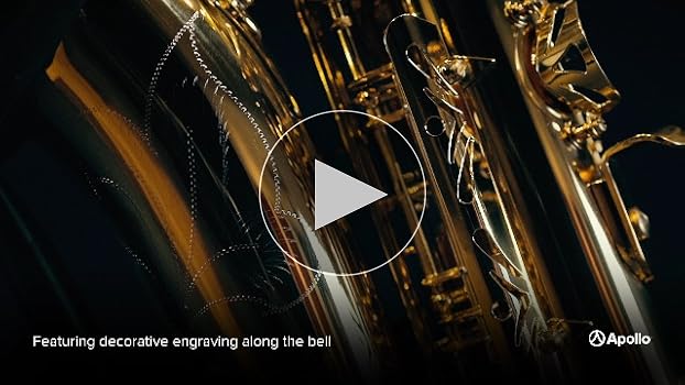 Amazon.com: Apollo Alto Saxophone in gold lacquer with