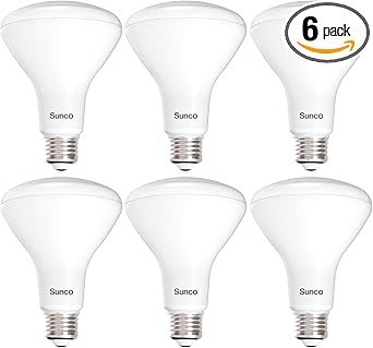 Sunco 6 Pack BR30 Light Bulb LED Recessed Can Light Bulbs, Indoor Flood Light Bulb 850 LM, 11W (65W Equivalent), 3000K Warm White, Dimmable, E26 Base, for Home, Kitchen, Bedroom UL