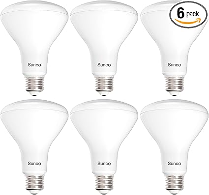Sunco 6 Pack BR30 Light Bulb LED Recessed Can Light Bulbs, Indoor Flood Light Bulb 850 LM, 11W (65W Equivalent), 3000K Warm White, Dimmable, E26 Base, for Home, Kitchen, Bedroom UL