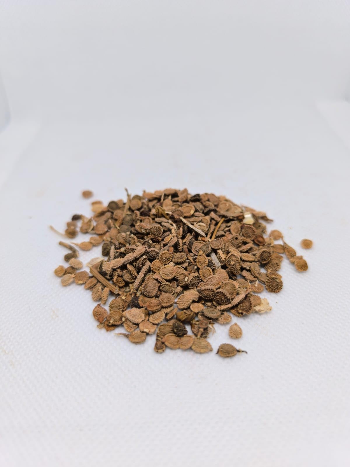 Semi di Sulla con Guscio 2 Kg – Per Semina Diretta | Piante Mellifere per Api | Giardinaggio e Agricoltura | Alta Germinabilità - produzione propria