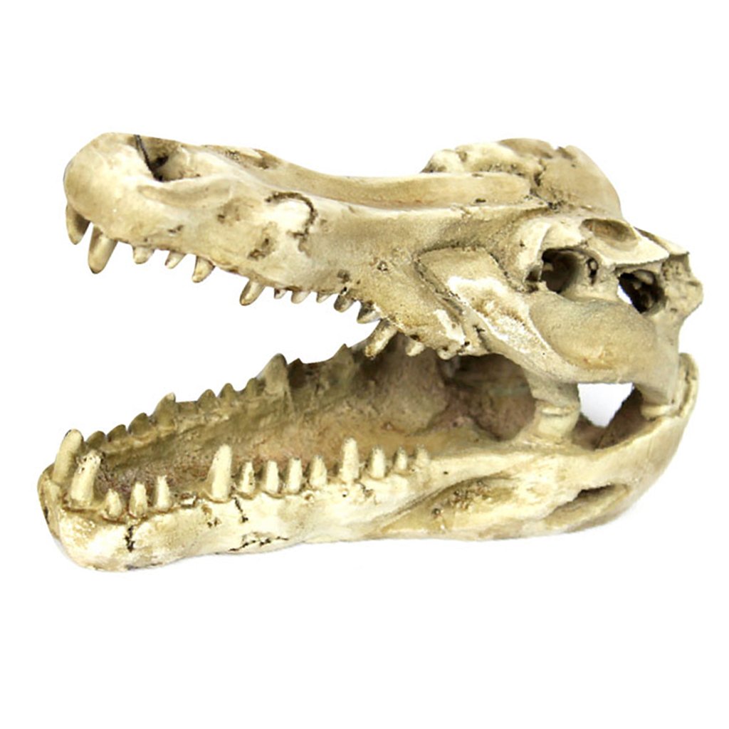 Generic Reptile Terrarium Vivarium Ornament Decor Snake Cave