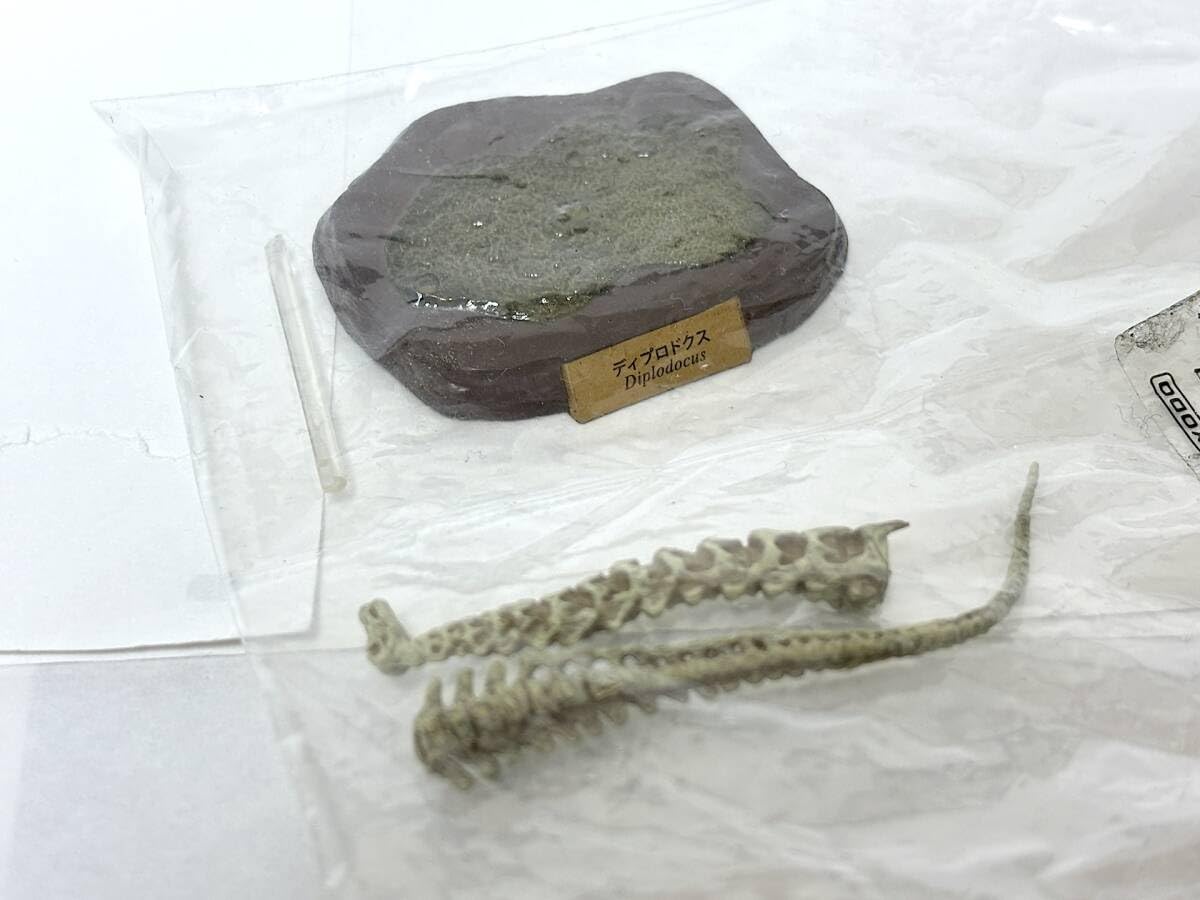 Amazon | カプセルQミュージアム 恐竜発掘記6 恐竜全身骨格 室