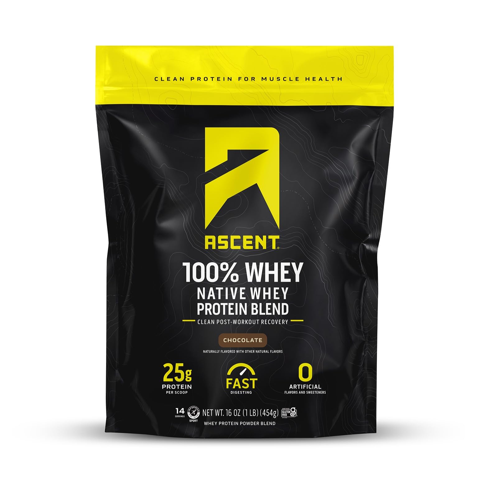 Ascent 100% Whey Protein Powder, Chocolate, 1 lb, Daily Protein