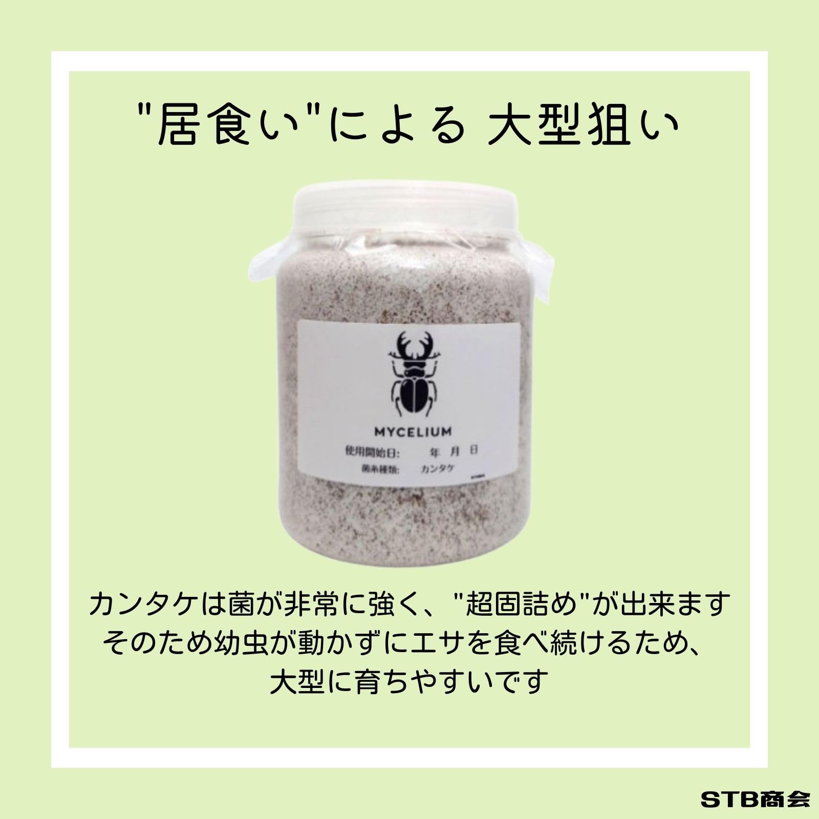【新品未開封】モヤセル6袋＋モヤセル乳酸菌4袋☆✨ Amazon | MYCELIUM 菌糸ビン1400cc オオヒラタケ菌 ホワイト 二