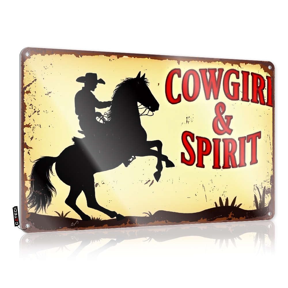 Tin Plate Sign Outhouse Rules Toilet Pre-drilled & Colorful Decor Flat Print | Cowgirl And Spirit Riding Horse For Waterfowl Wall - Rustic Metal Stars(20X30CM)
