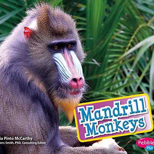 Mandrill Monkeys by Gail Saunders-Smith, Cecilia Pinto McCarthy episode artwork