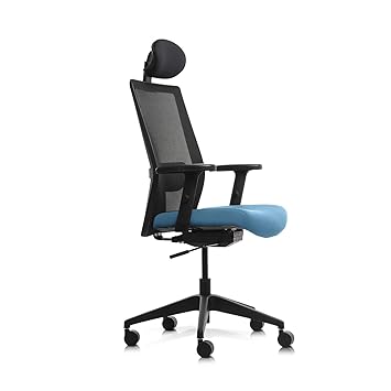 Wipro Furniture Adapt High Back Ergonomic Polypropylene Office Executive Chair With Automatic Weight Sensing Mechanism And Height Adjustable Arms Cool Blue Amazon In