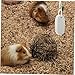 Happyyami 5pcs Chinchilla Chew Sticks Rabbit Molar Stone Teeth Grinding Toy for Small Pets Toys