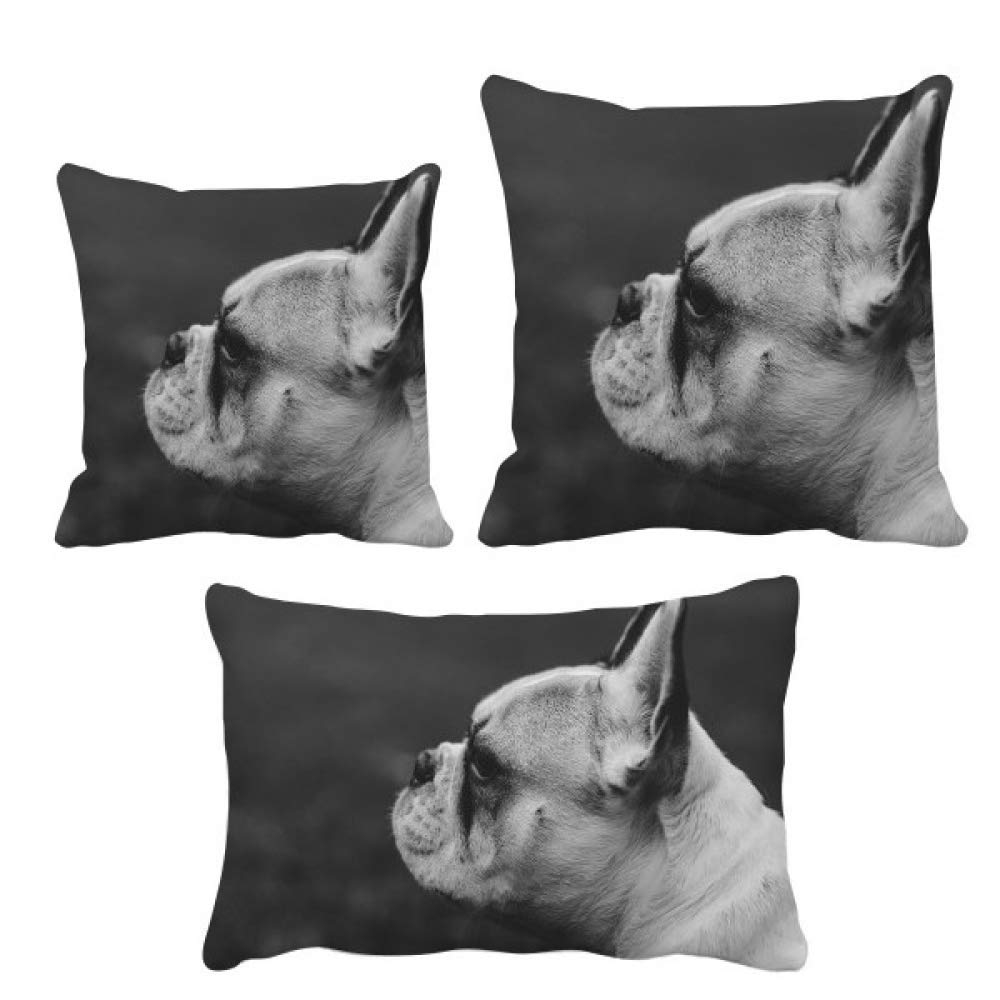 Housse de coussin gris pour animal domestique tapis panier chien et chat