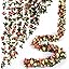 Spring-champagne-8pcs Spring-champagne-8pcs