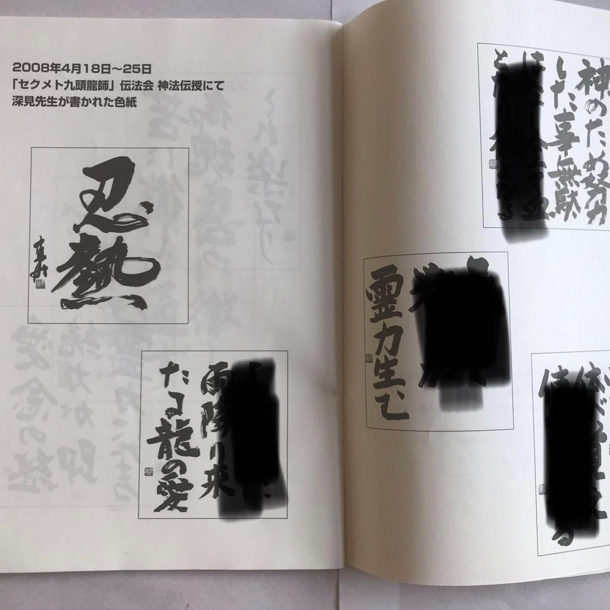 Amazon.co.jp: ワールドメイト九頭龍師テキスト（花龍神の神法付