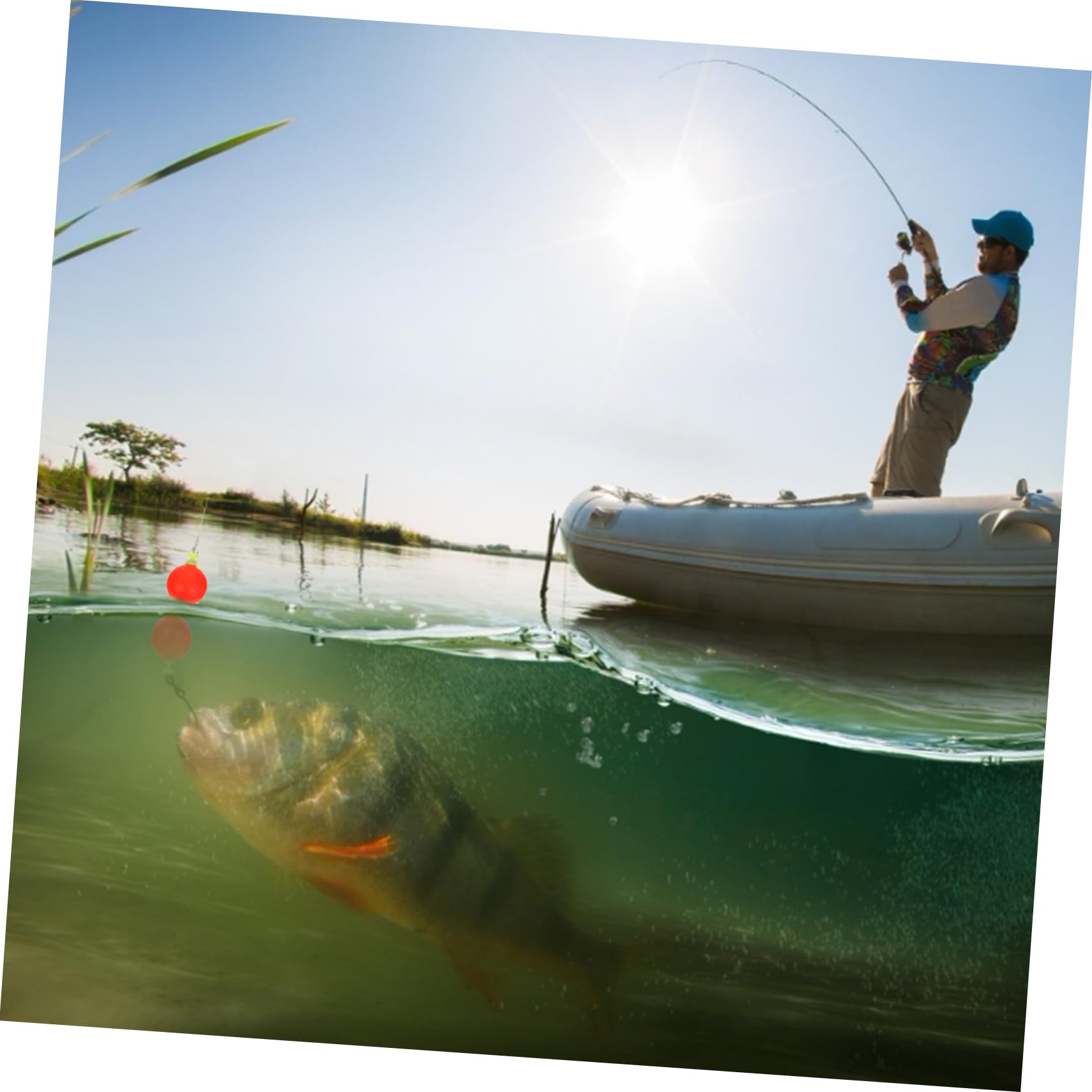 Toddmomy 50stücke Teiliges Angelpose Schaum Langlebige Schwimmende Köder Für Meeresangeln Auffällige Und Zuverlässige -bobbys Für Angler Und Fischliebhaber