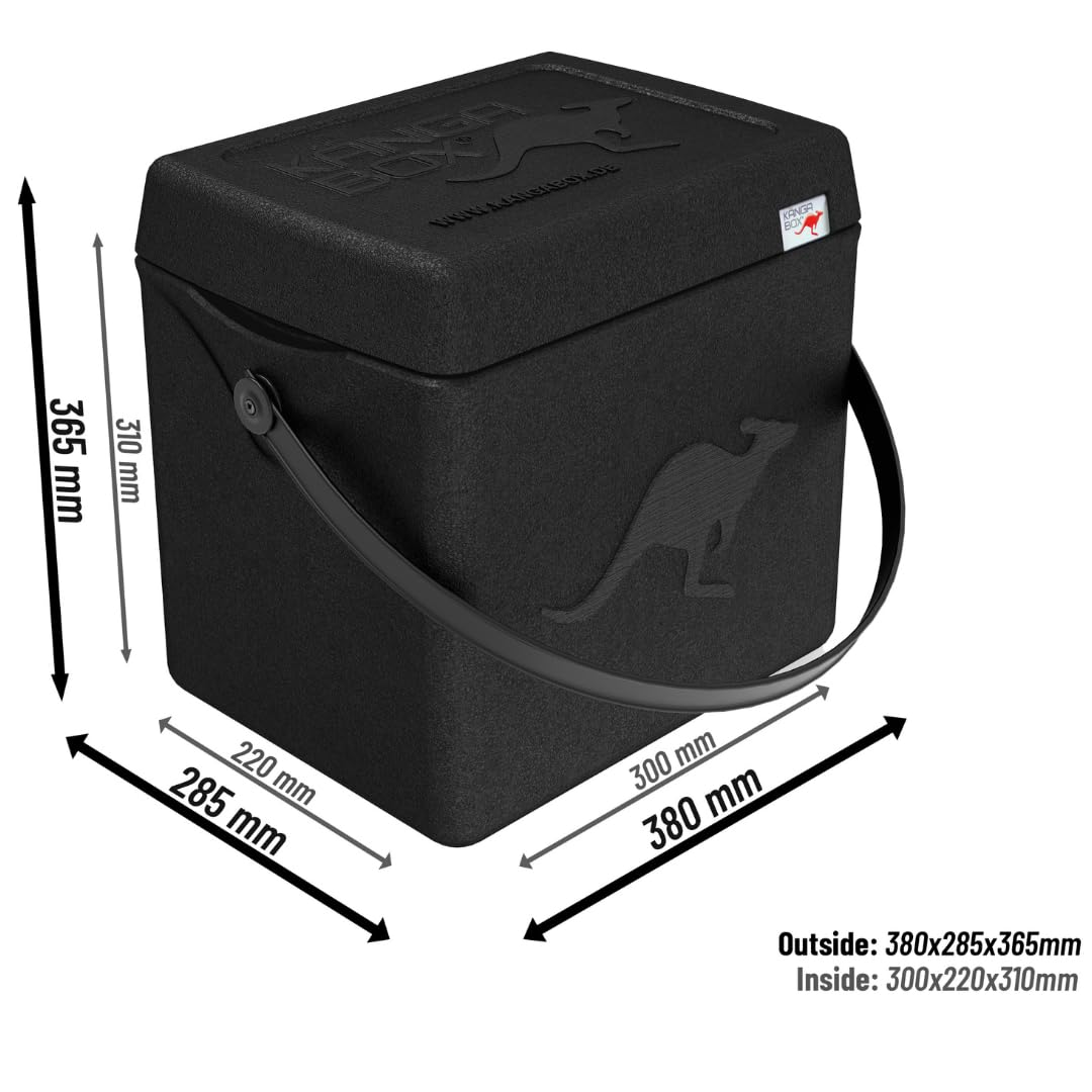 Contenitore Isotermico Trasporto Alimenti TRIP 20LT Box Termico con Manico Professionale [Capacità: 20L] Nero [Misure Interne: 300x220x310 mm]