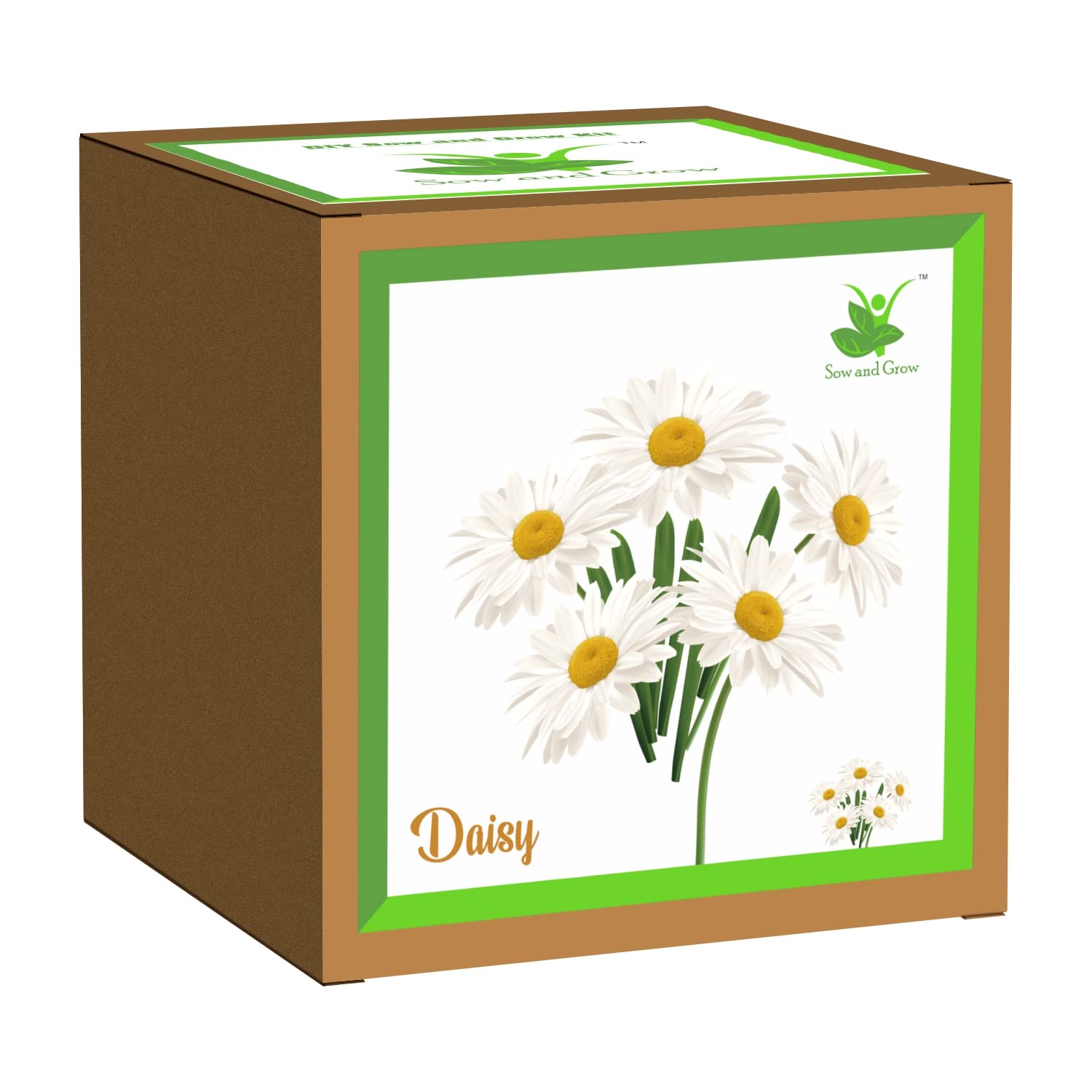 Sow and Grow Seed Starter Grow Kit of Daisy Flower || for temperatures 15-25 Degrees || DIY Easy Grow it Yourself Gardening Kit for Home and Garden || A Complete Beginner Gardeners Set
