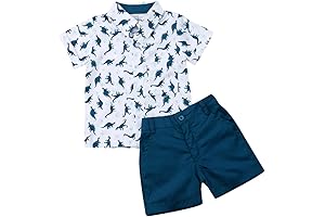Toddler Boy 3T Clothes Summer Outfits Short Sleeve Button Down