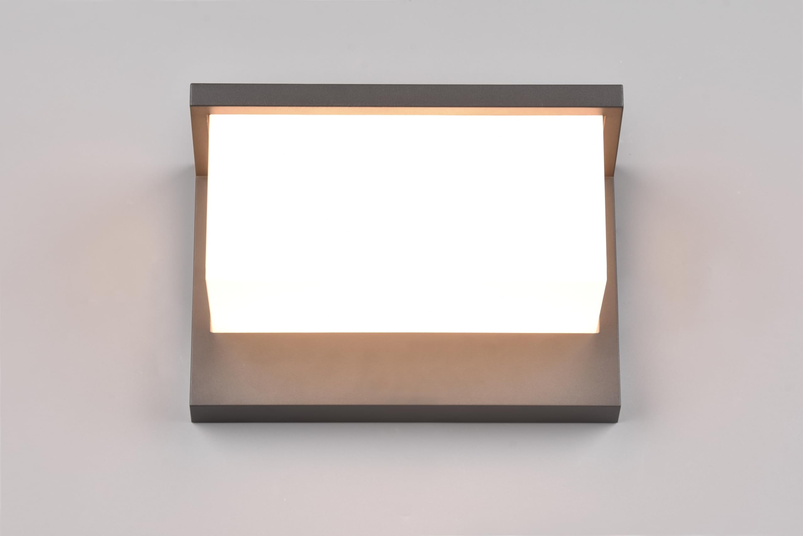 Trio Leuchten LED Außen Wandleuchte Nestos 240960142, Aluminium Druckguss Anthrazit, Schirm Kunststoff Weiß, inkl. 13 Watt LED |