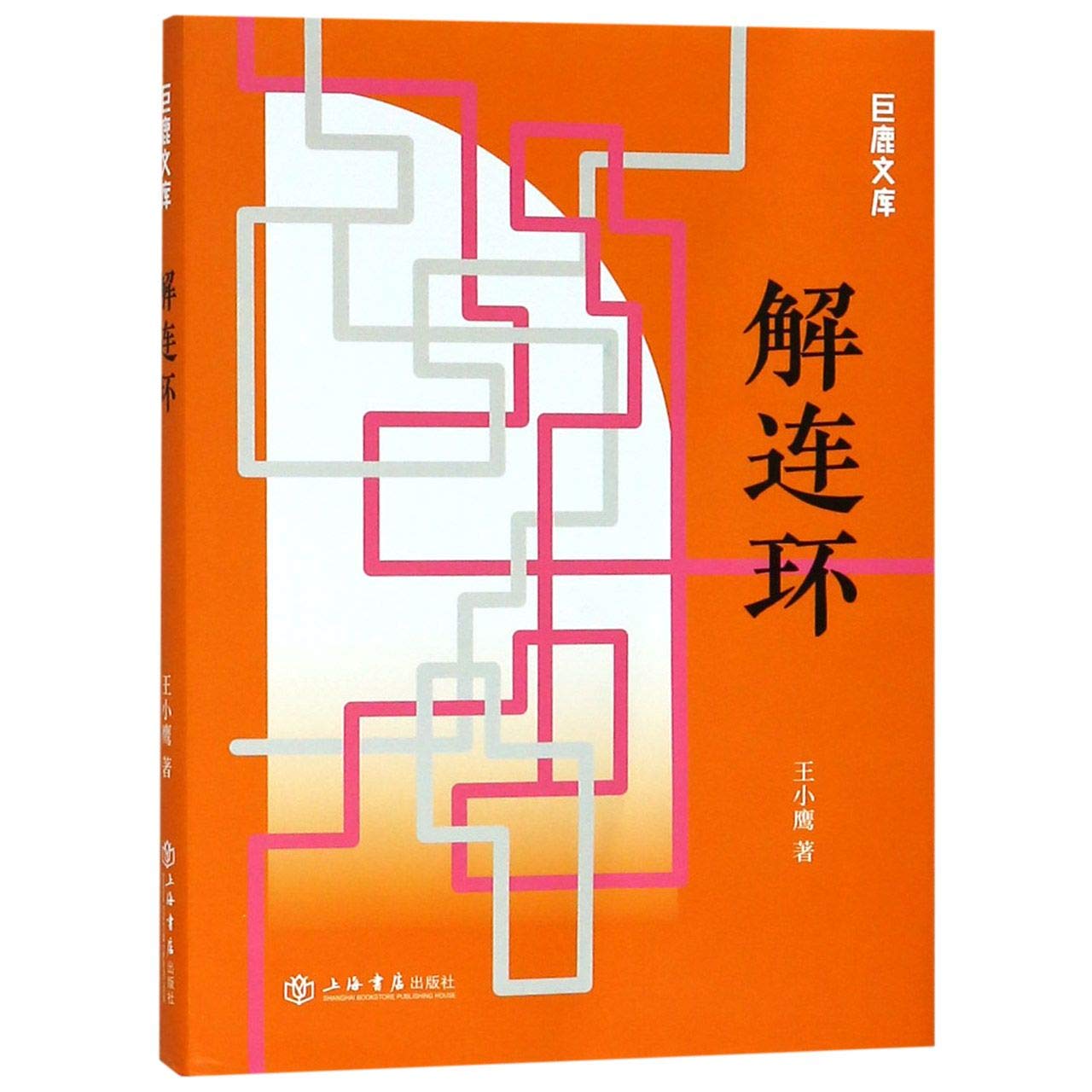 The Story Collection of Wang Xiaoying (Chinese Edition)