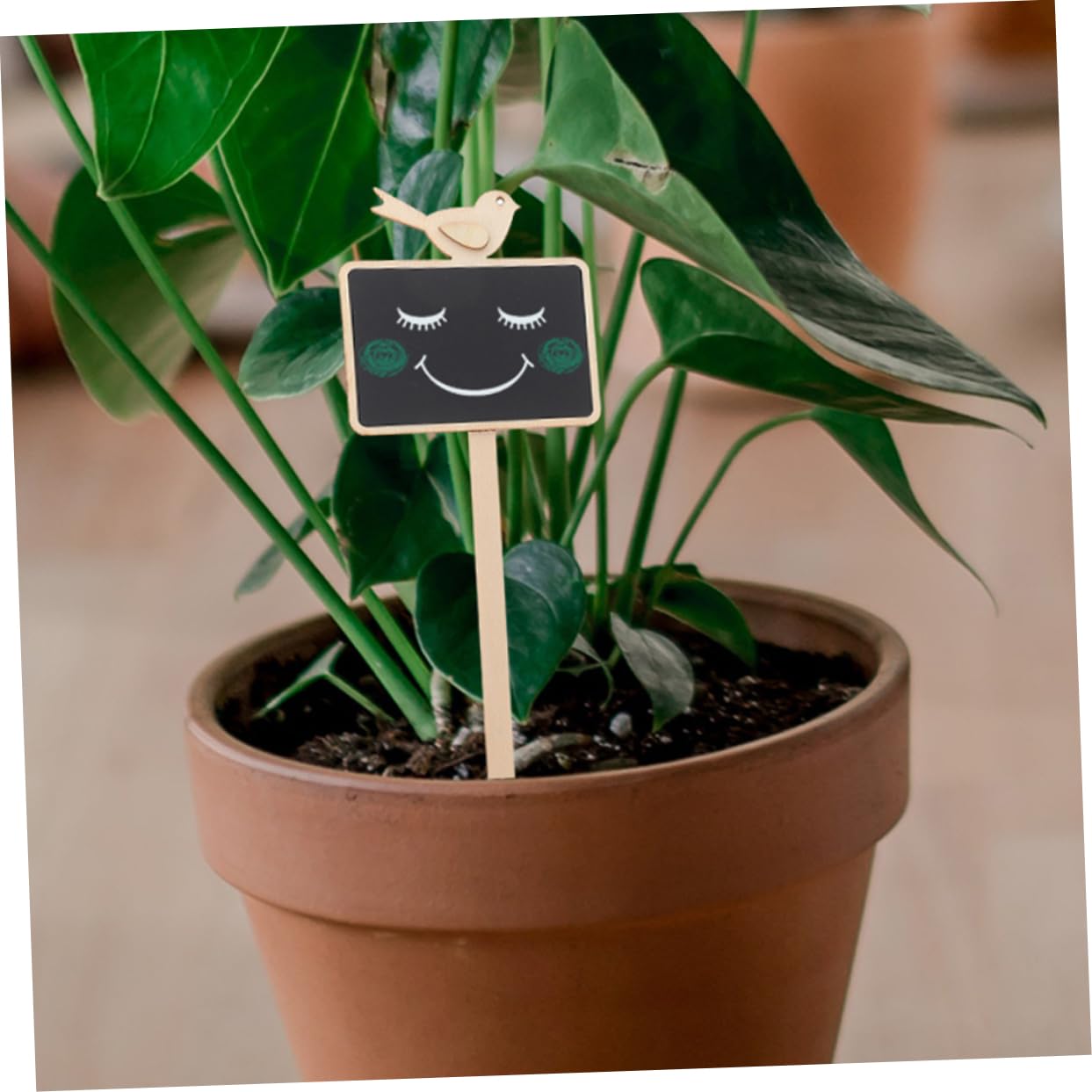 Toddmomy 40pièces Étiquettes Bois Pour Plantes Panneaux Multi-usage Avec Ardoise Pour Marquer Fleurs Et Jardins Décorations Pratiques Et Classificatrices Pour Amateurs De Jardinage