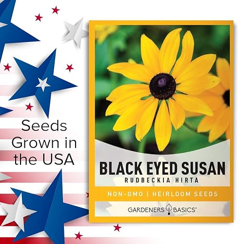 Miniatura 5 de Gardeners Basics, Black Eyed Susan Seeds para plantar, semillas de flores Rudbeckia Hirta para jardines de flores cortadas, hermosas flores