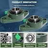 UCFL205 (25mm) Bore 2-Bolt Square Flange Bearing Unit, Self-Aligning Mounted Bearing, Cast Iron Housing, Set Screw Lock
