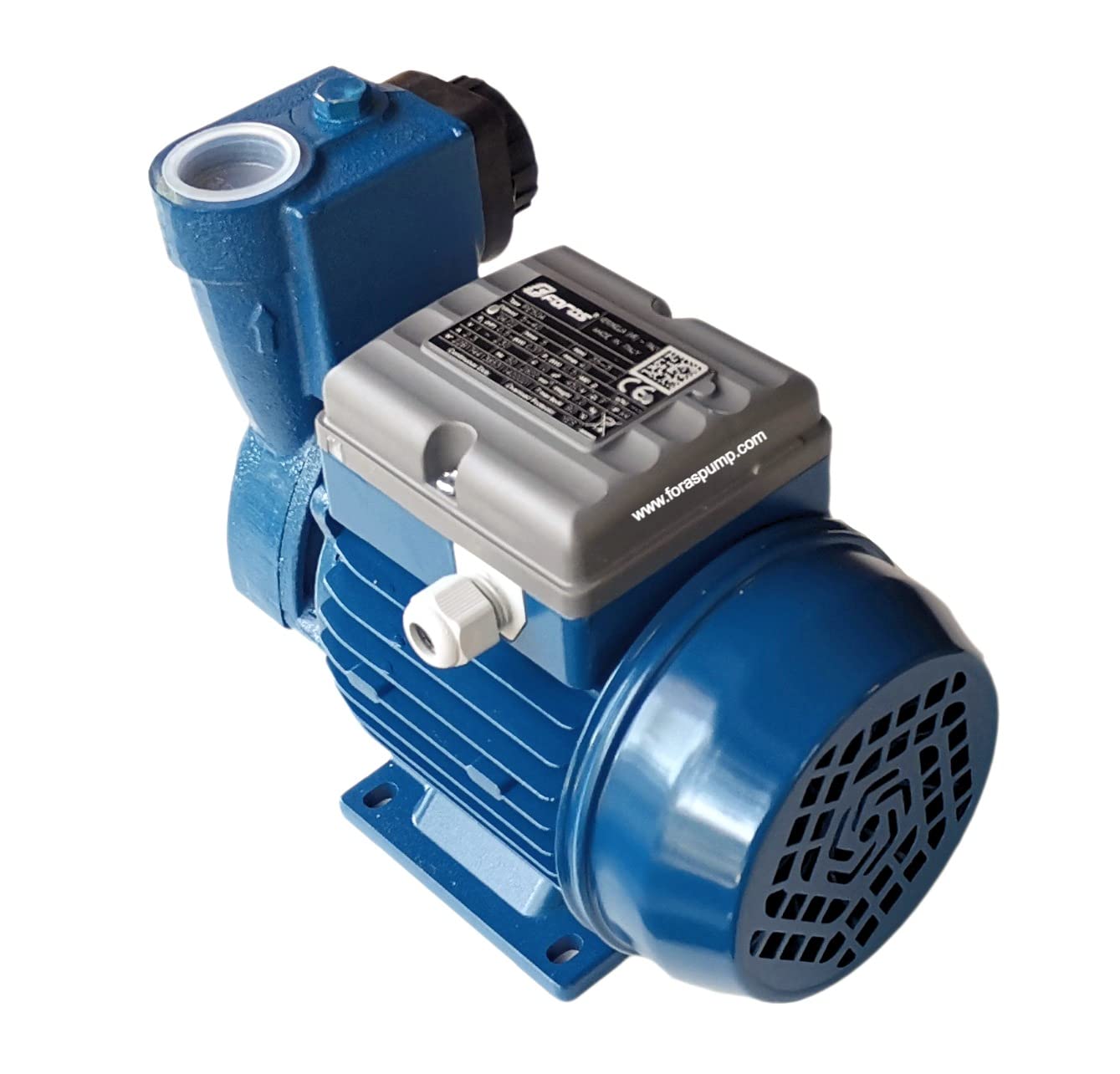 FORAS Bomba periférica autocebante PE100A, 230 V, 0,74 kW, 65 m, 50 L/min, Pentax, 100% fabricada en Italia