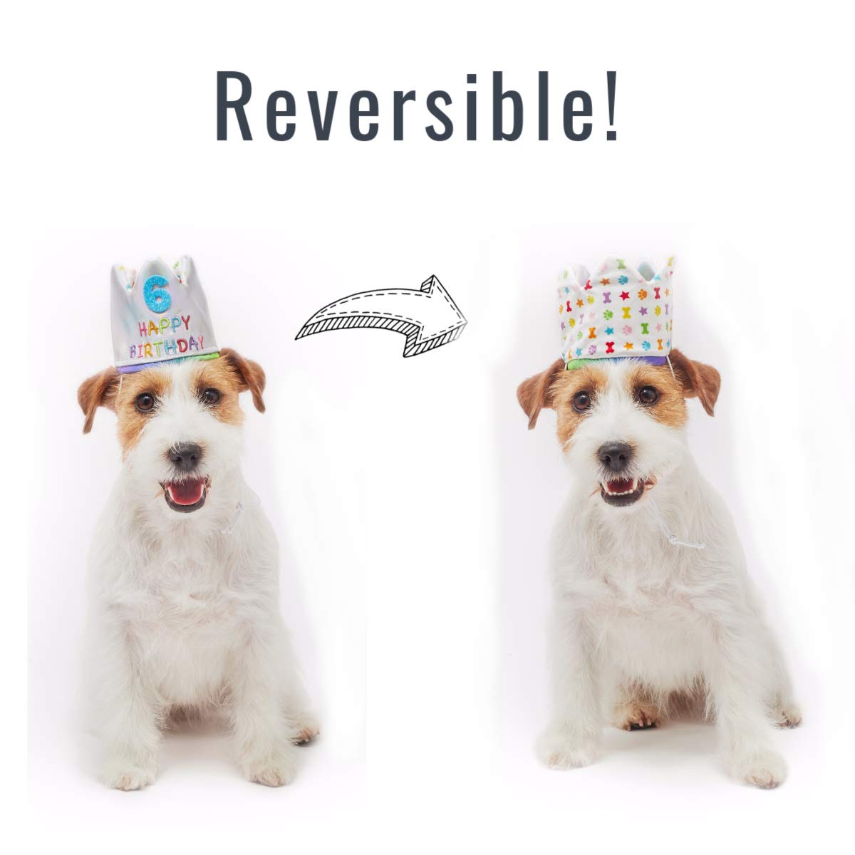 Huisdier Hond Leuke Verjaardag Hoed Kleurrijke Kaarsen Party Hoed met Cake Huisdier Cap met 5 Kleur Kaarsen Kostuum Accessoire Hoofddeksels voor Honden Katten Kleine Dieren, Blauw