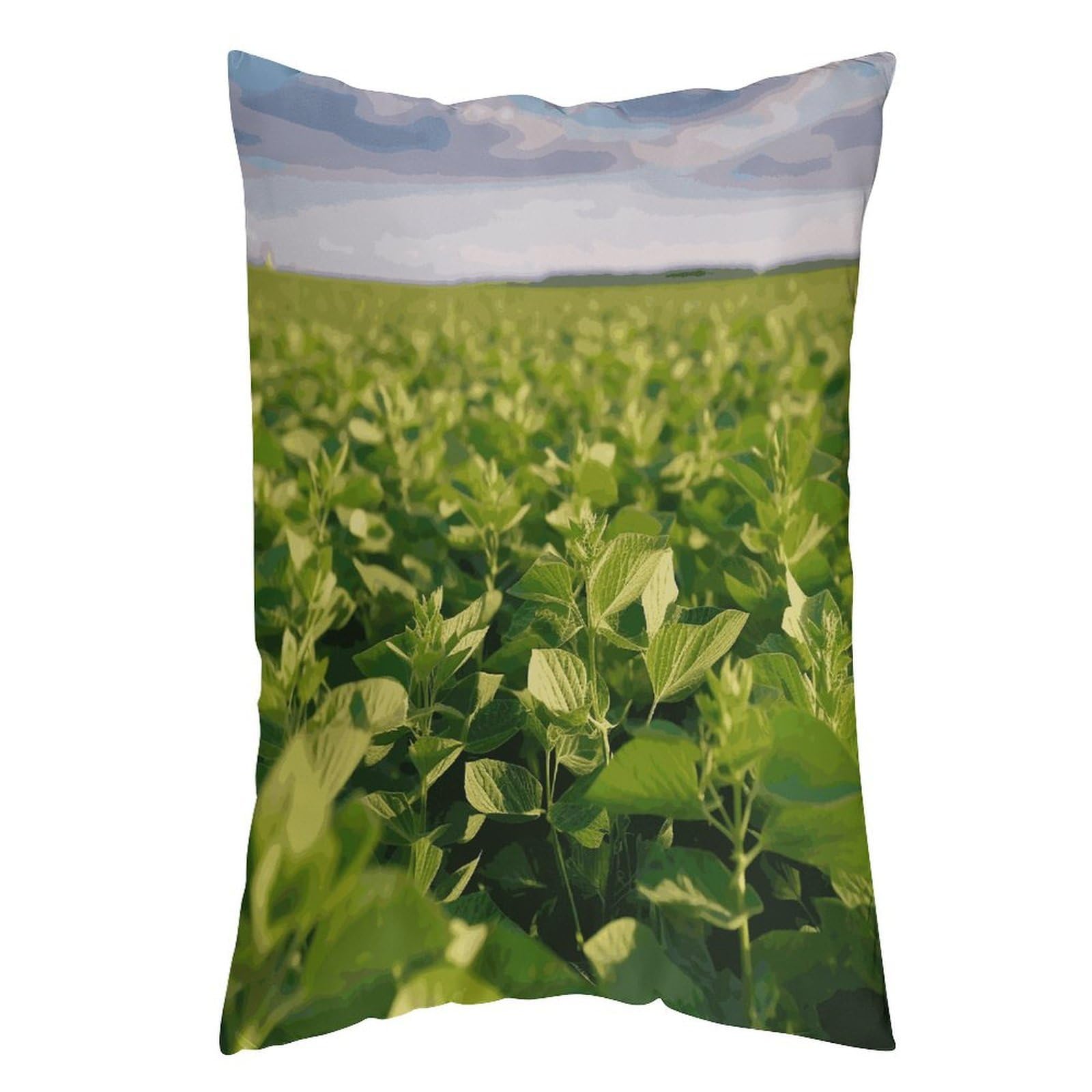 LDGSUPH Soybean Field Pillow Cases Soft Pillowcase with Invisible Zipper Wrinkle Resistant Pillow Covers Breathable Removable Pillow Protector for Bed Sofa Car 16 "x24