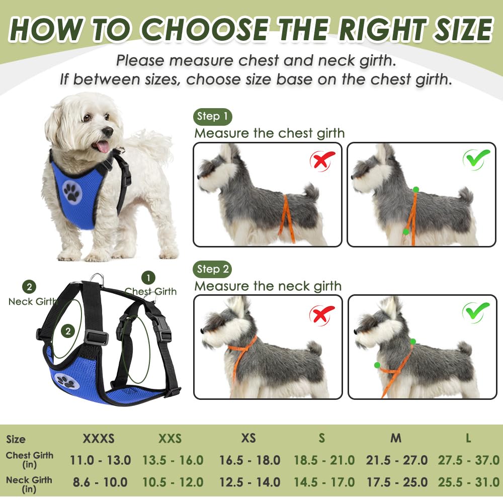 SlowTon Harnais de ceinture de sécurité pour chien - Réglable avec clip de ceinture de sécurité - Mousqueton et gilet pour chien - Maille rembourrée respirante - Pour chiens et chats de petite,