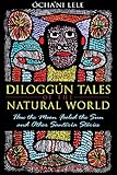 Diloggún Tales of the Natural World: How the Moon Fooled the Sun and Other Santería Stories