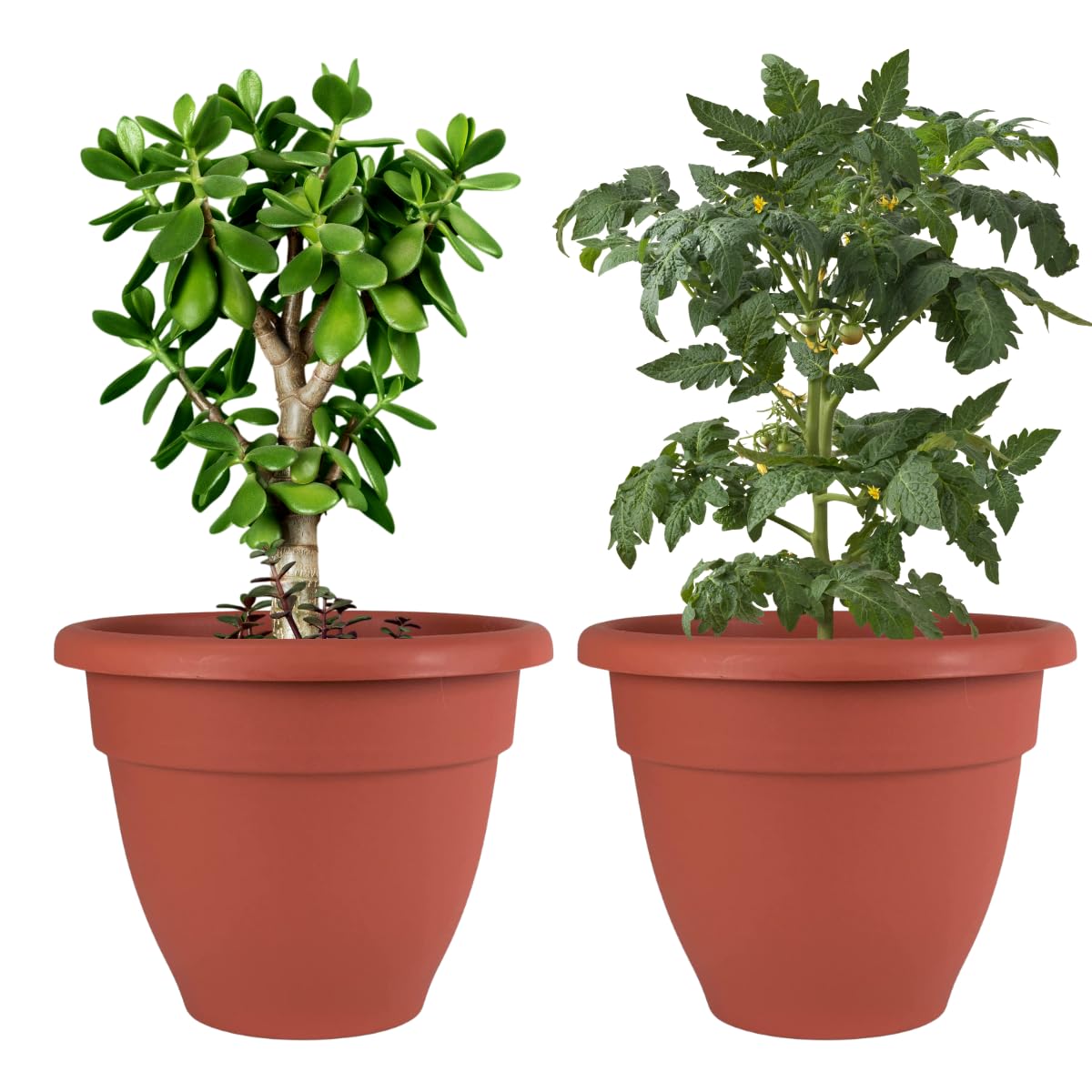 DEVICE OF URBAN INFOTECH 18 Inch Plastic Planters Big Size Flower Pot Stylish Indoor Outdoor Gamla Maroon Finished Plant Containers for Garden Nursery Home Decor (Pack of 2) (B09TPHDPSK) Amazon Price History, Amazon Price Tracker