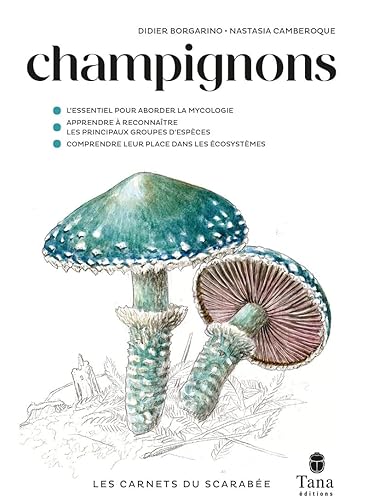 Les Carnets du Scarabée - Champignons - Guide pratique illustré des champignons : savoir où les chercher et comment les observer pour réussir à les identifier. Exercices, astuces, tutos