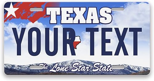 Matrícula personalizable con texto de los 50 Estados de Estados Unidos para la parte delantera del automóvil, placas personalizadas de Texas para