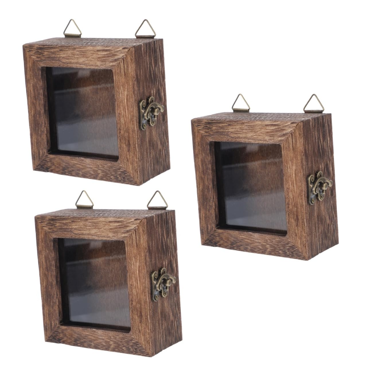 ERINGOGO 3pcs Box Vintage Chinese Style Butterfly Display Case Wooden Box Insect Storage for Dried Flower Display Sturdy