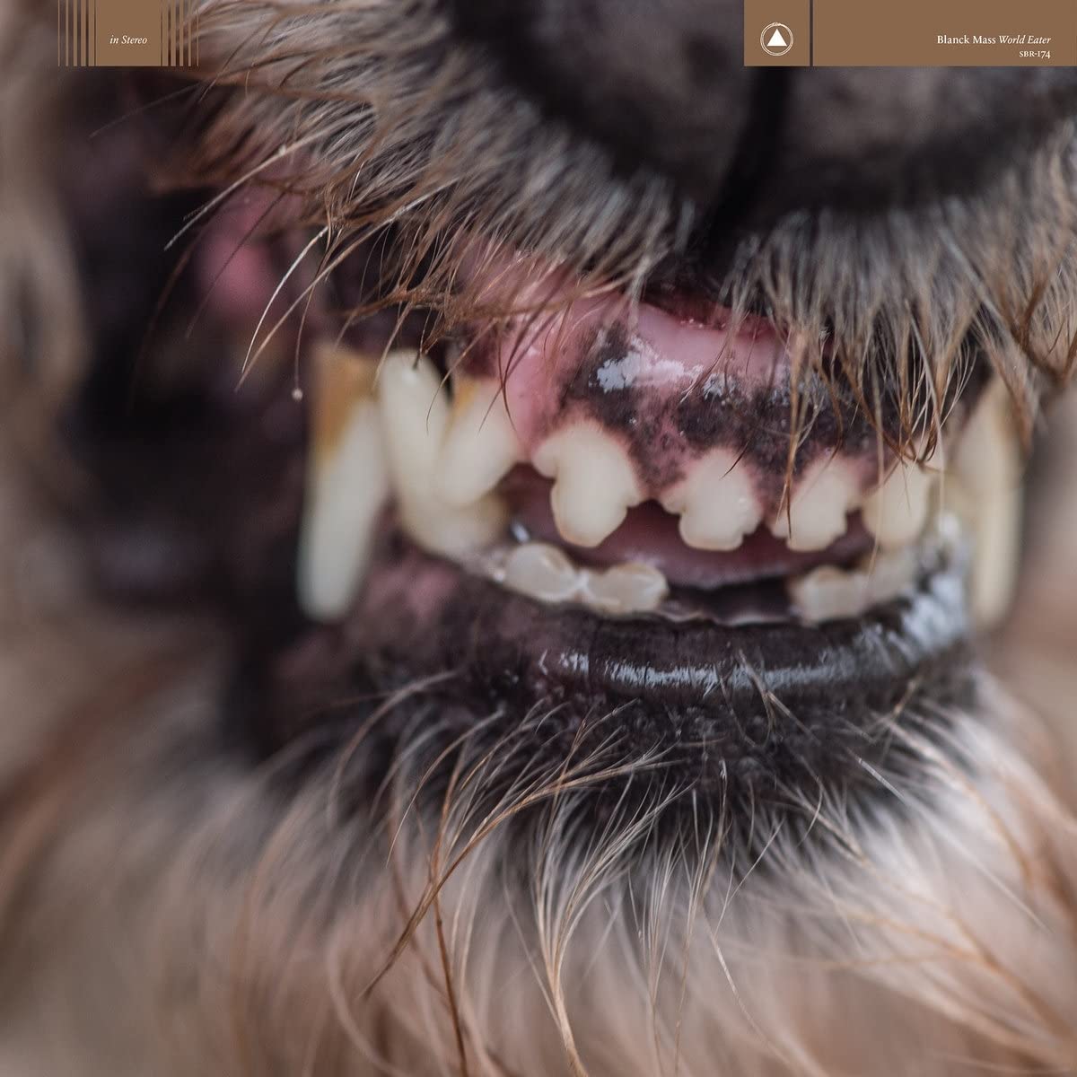 Blanck Mass World Eater (Ltd.Clear With Red (Vinyl)