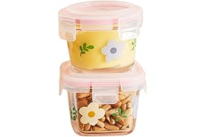 2 Pack 4oz Mini Glass Containers with Airtight Lids