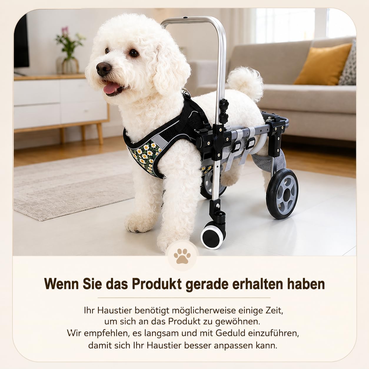 Verstellbarer 4-Rad-Hunderollstuhl Für Vorder- Und Hinterbeine – Leichte Mobilitätshilfe Für Verletzte, Behinderte Oder Ältere Hunde – Passend Für Kleine Bis Große Rassen(4wheel,L)